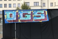 Stadtfest-Dietikon-2018_39